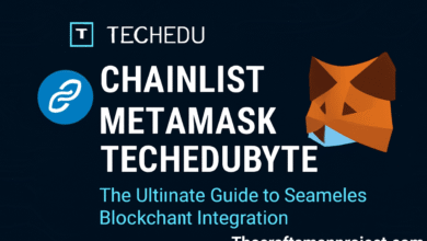 chainlist metamask techedubyte