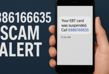 8886166635